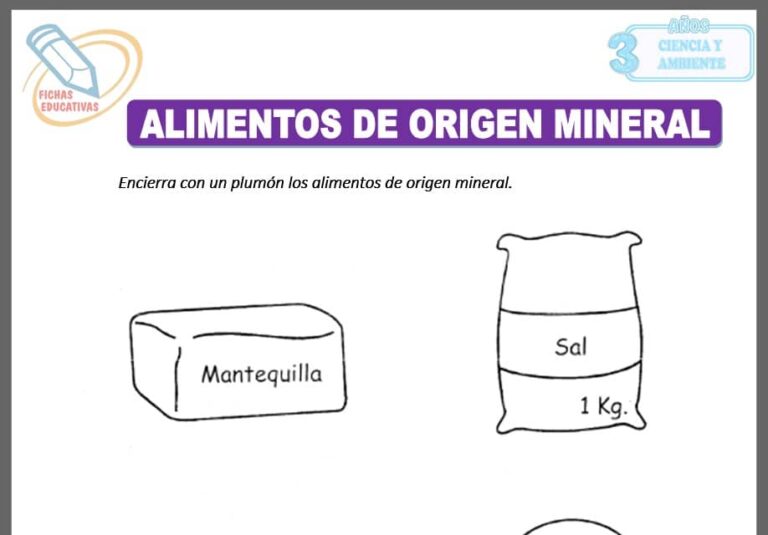 Alimentos de origen mineral para niños de Tres Años - Fichas Educativas