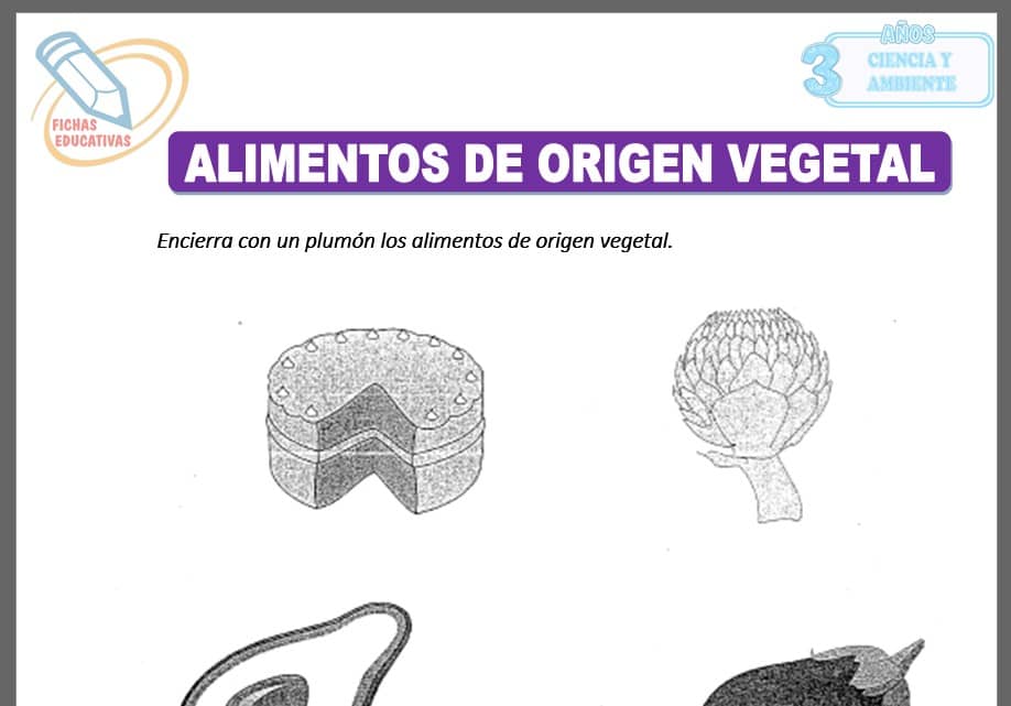 Alimentos de origen vegetal para tres años