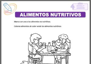 Alimentos nutritivos para cuatro años