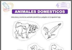 Animales domésticos para cuatro años