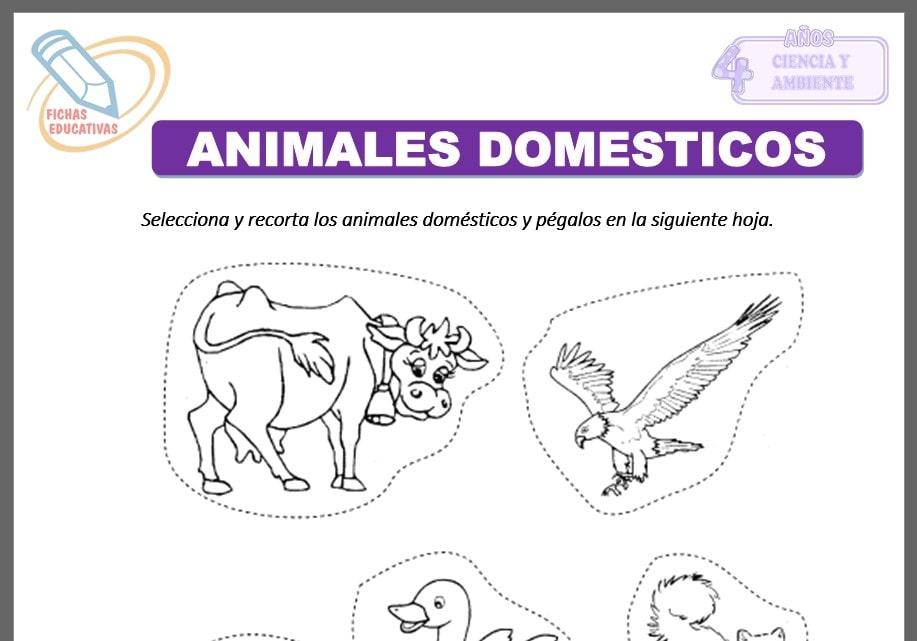 Animales domésticos para cuatro años Animales domésticos para cuatro años