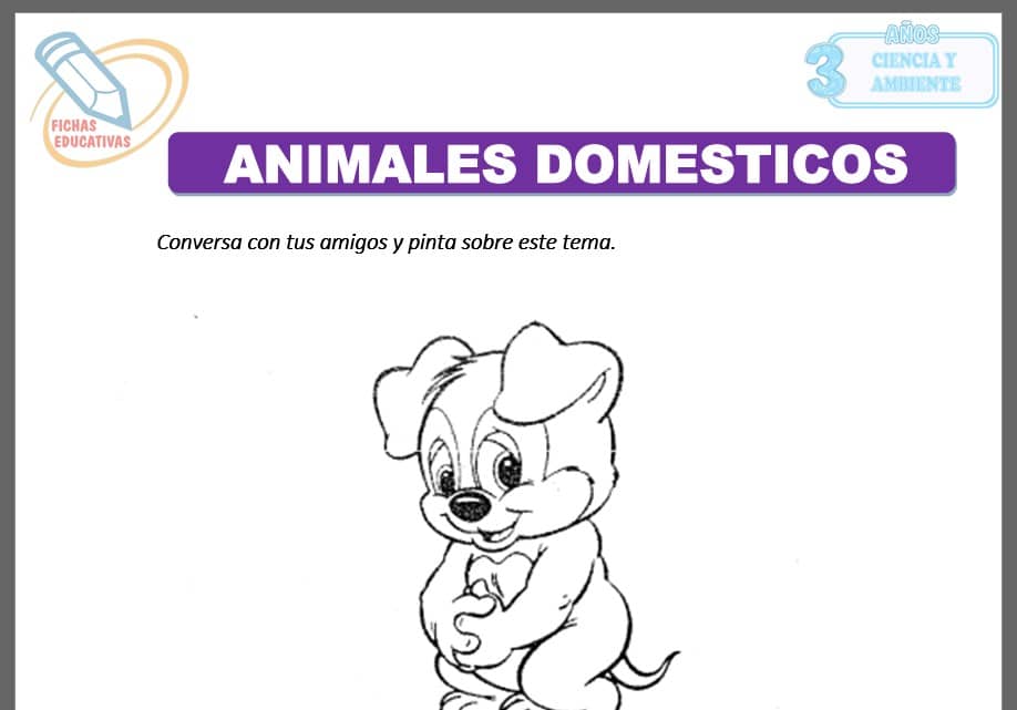 Animales domésticos para tres años Animales domésticos para tres años