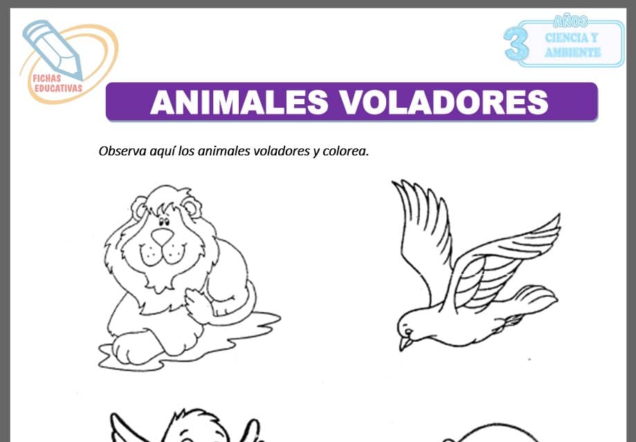 Animales voladores para tres años