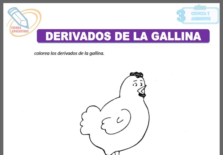 Derivados de la gallina para tres años Derivados de la gallina para tres años
