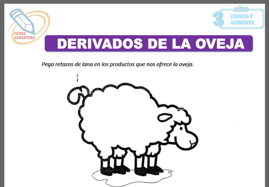 Derivados de la oveja para tres años