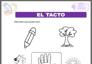 El tacto para cuatro años