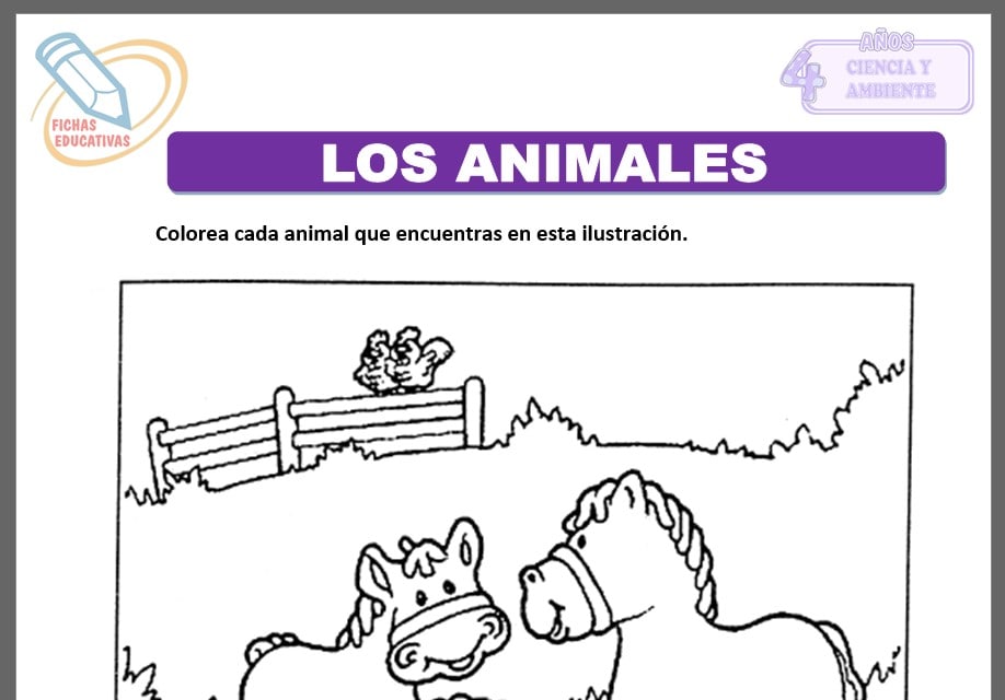 Los animales para cuatro años