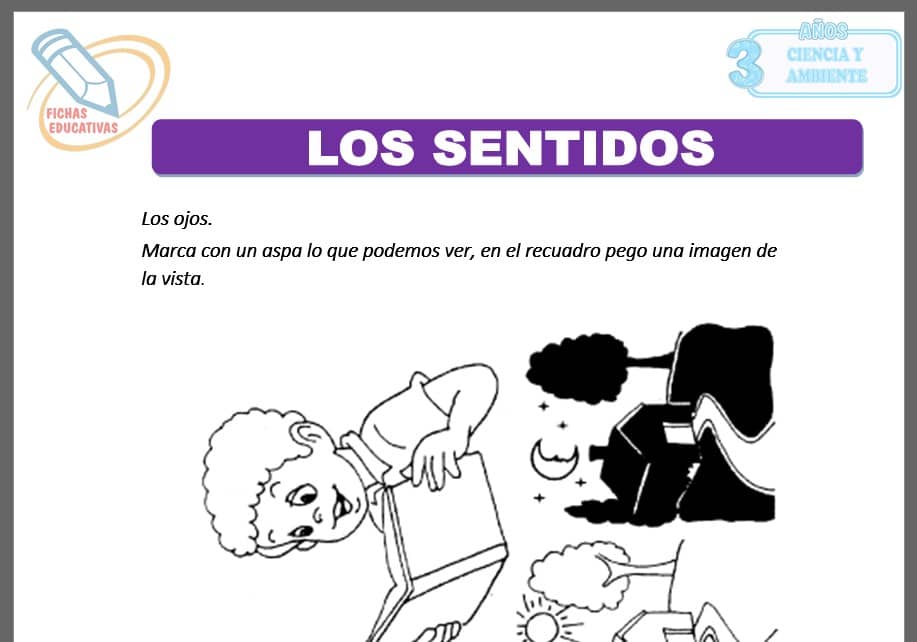 Los sentidos para tres años