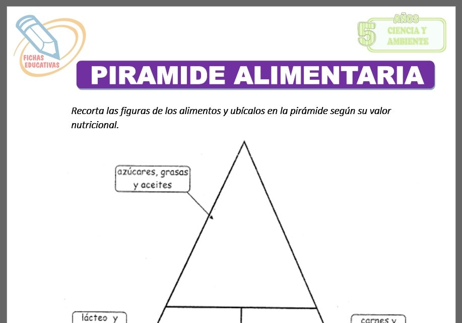 Pirámide alimentaria para cinco años