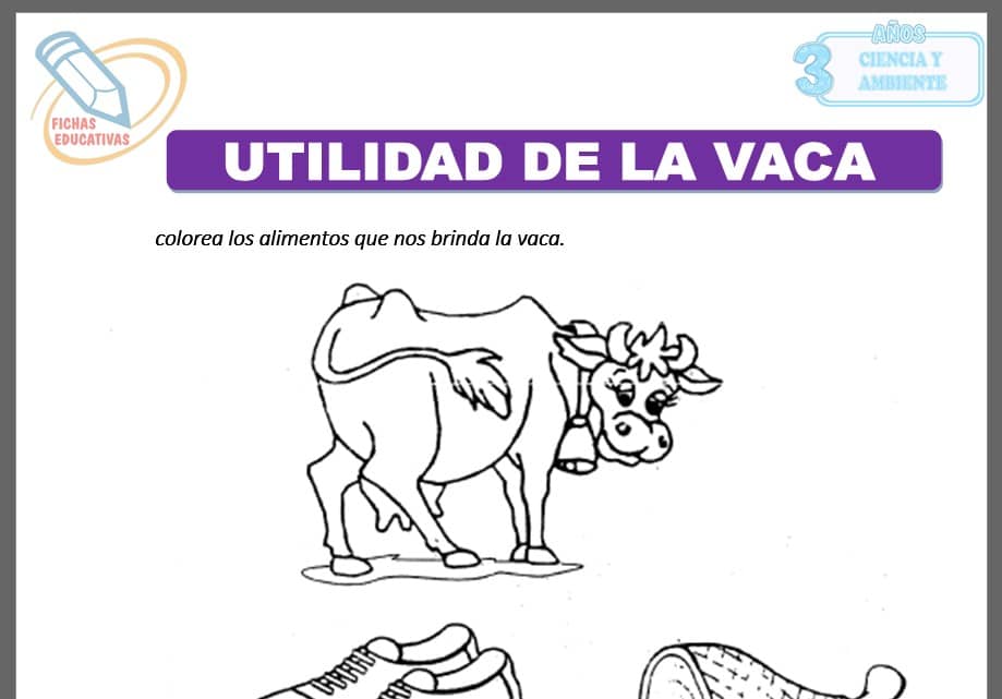 Utilidades de la vaca para tres años