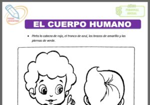 El cuerpo humano para cinco años