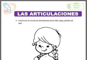 Las articulaciones para cinco años