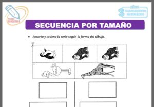 Secuencia por tamaño para tres años