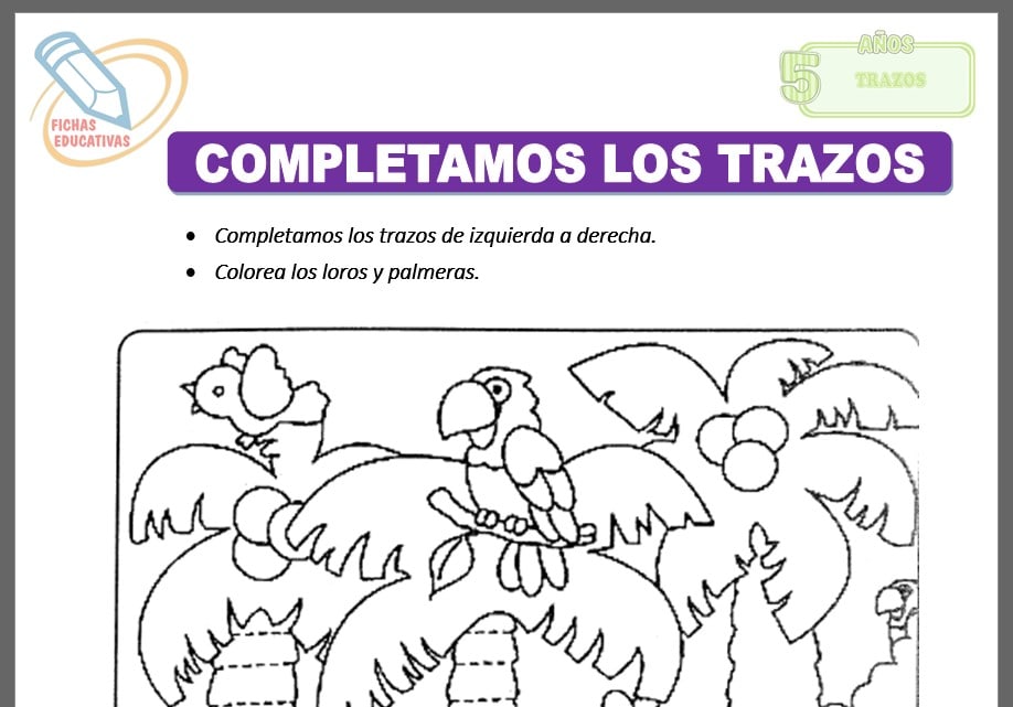 Completamos los trazos para cinco años