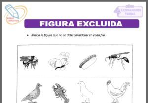 Figura excluida para cuatro años