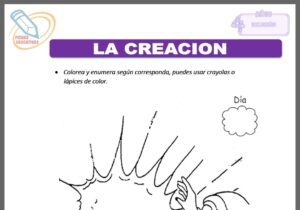 La creación para cuatro años