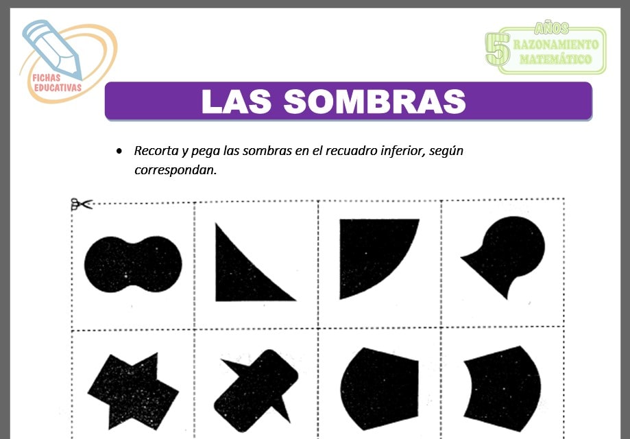 Las sombras para cinco años