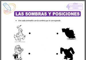 Las sombras y posiciones para cuatro años
