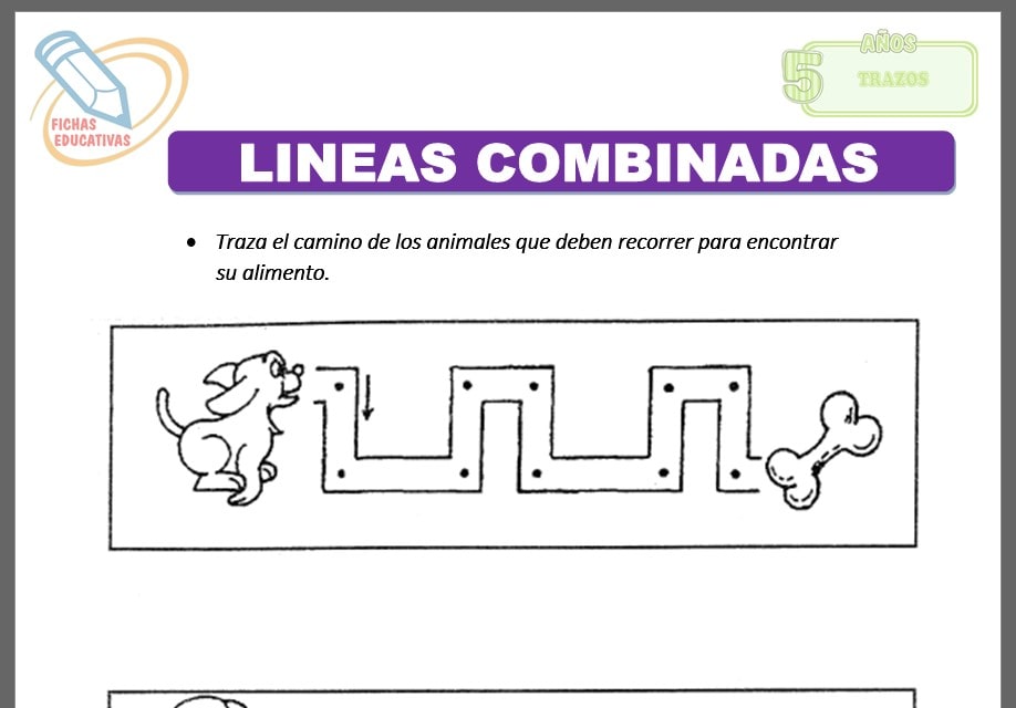Líneas combinadas para cinco años