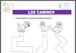 Los caminos para tres años