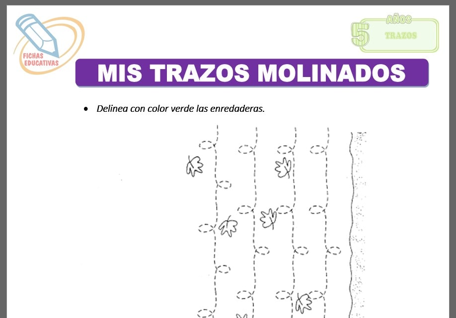Mis trazos molinados para cinco años