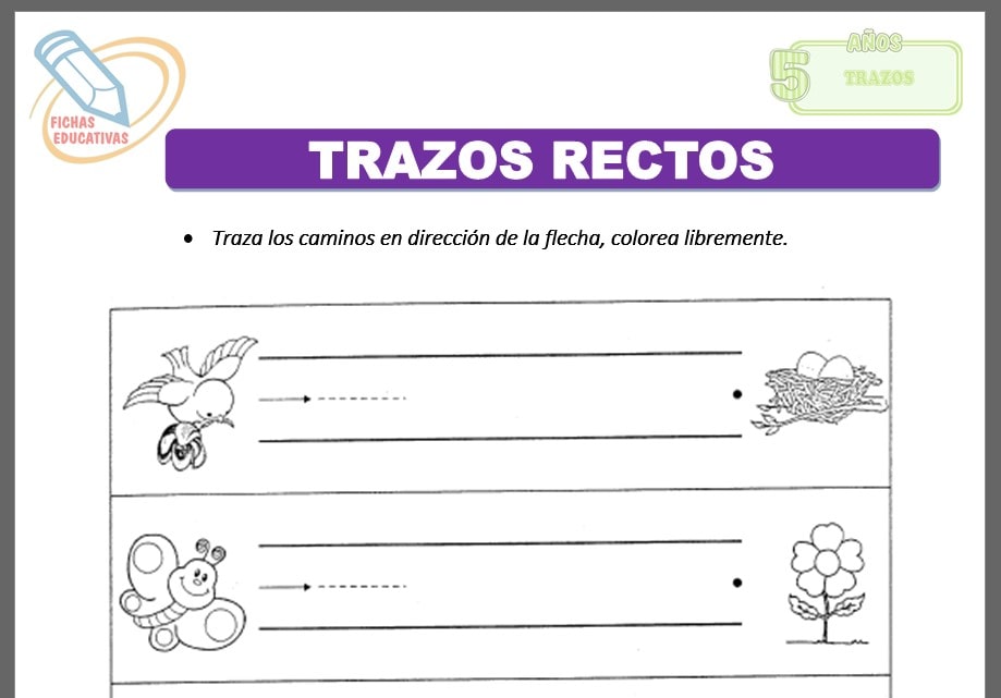 Mis trazos rectos para cinco años