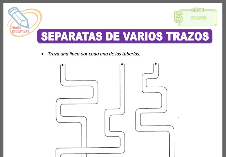 Separatas de varios trazos para cinco años