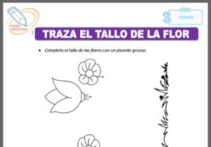Traza el tallo de la flor para tres años