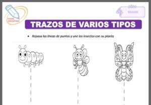 Trazos de varios tipos para cuatro años