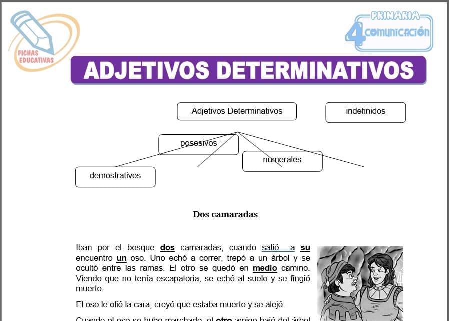 Adjetivos determinativos para cuarto de primaria