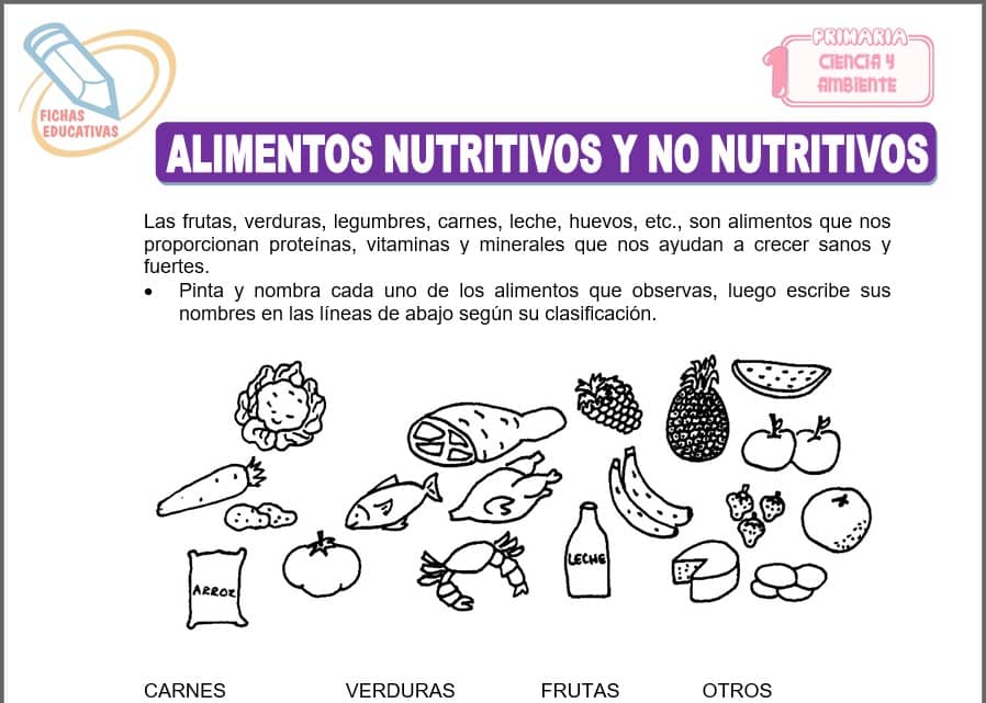 Alimentos nutritivos y no nutritivos para primero de primaria