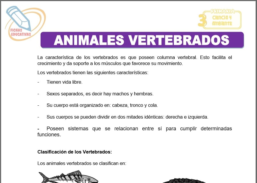 Animales Vertebrados para tercero de primaria