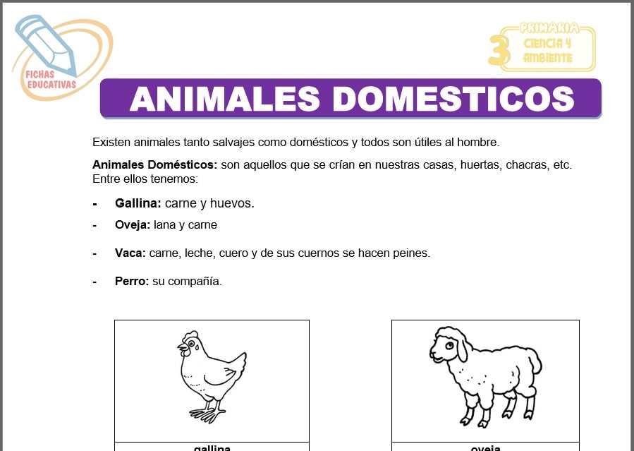 Animales domésticos para tercero de primaria