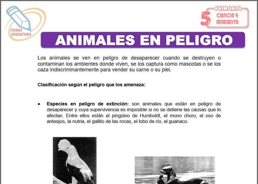 Animales en peligro para quinto de primaria
