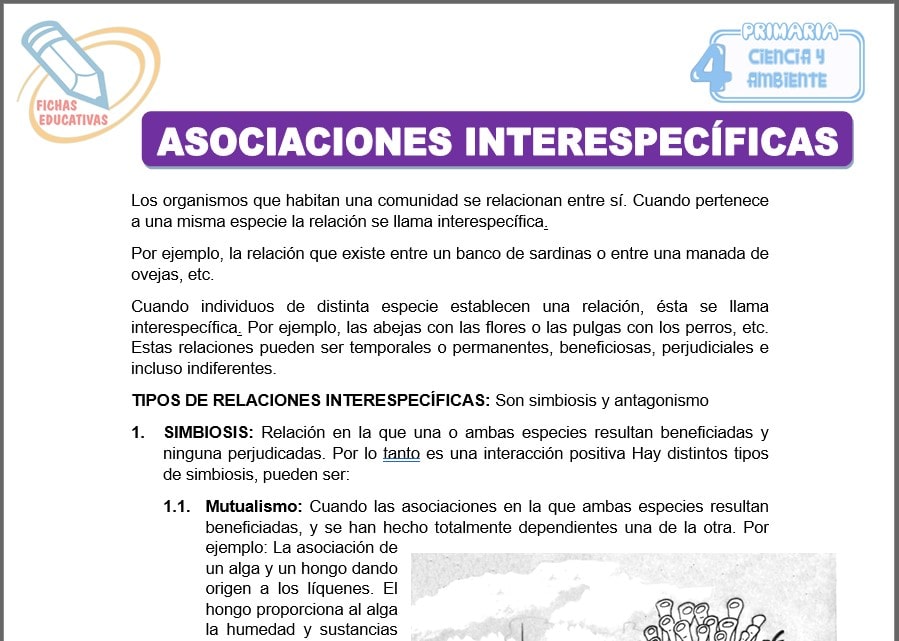 Asociaciones interespecíficas para Cuarto de Primaria Asociaciones interespecíficas para cuarto de primaria