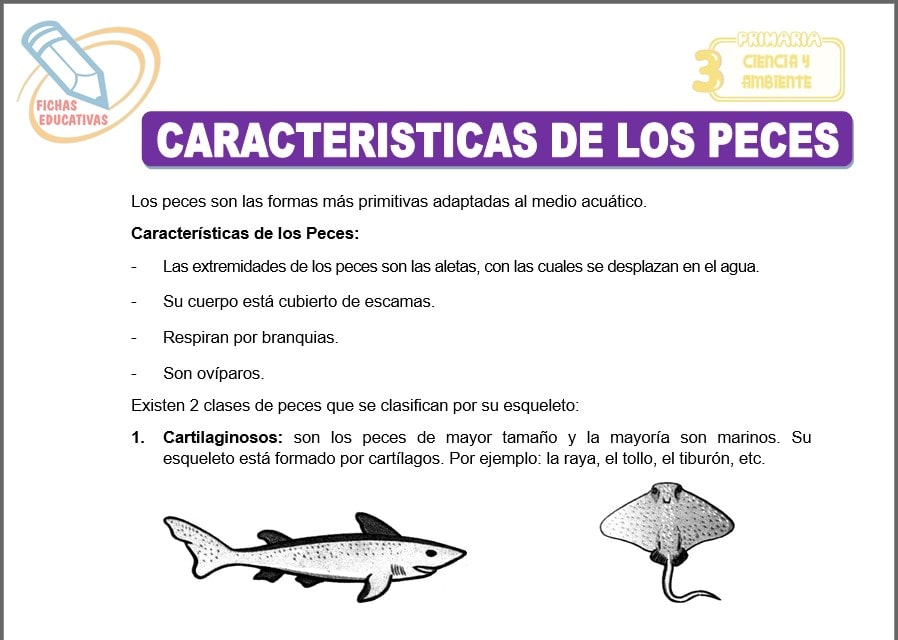 Características de los peces para tercero de primaria
