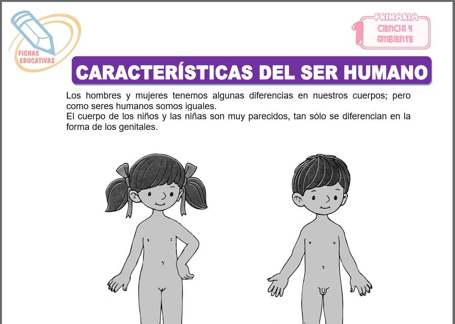 Características del ser humano para primero de primaria
