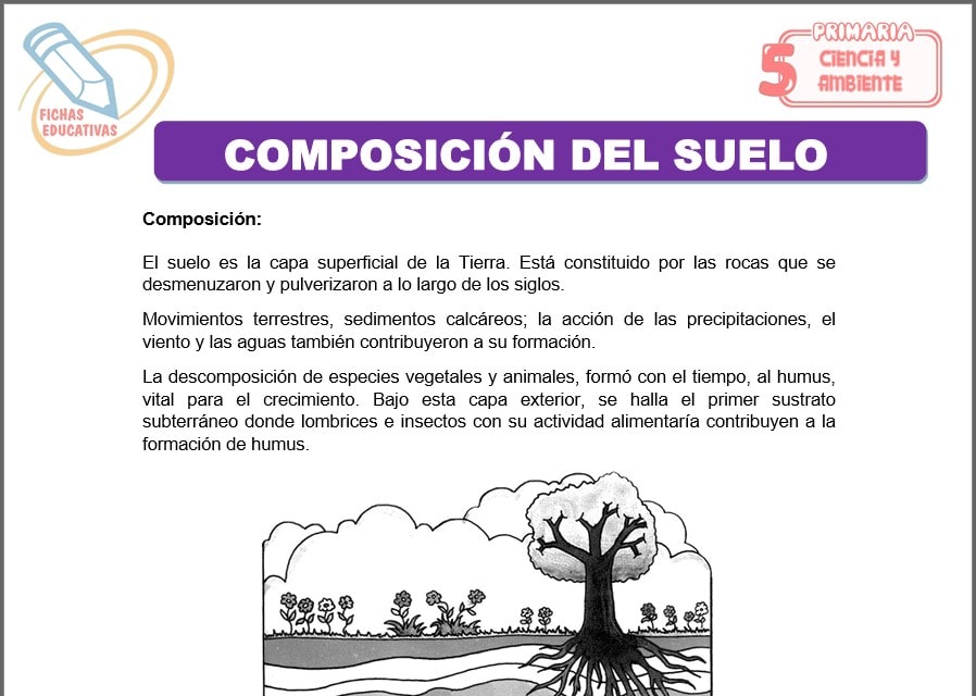 Composición del suelo para quinto de primaria