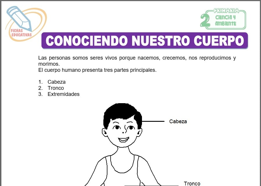 Conociendo nuestro cuerpo para segundo de primaria