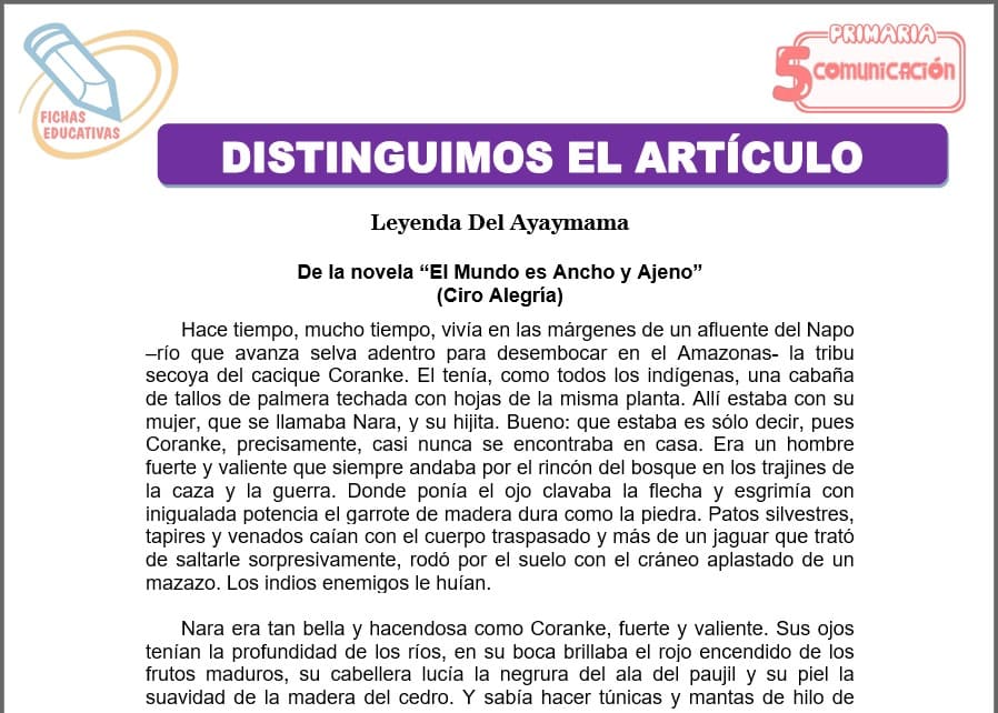 Distinguimos el artículo para quinto de primaria
