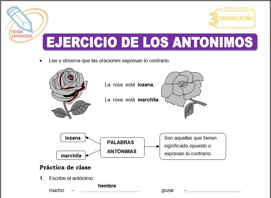 Ejercicios de los antónimos para tercero de primaria