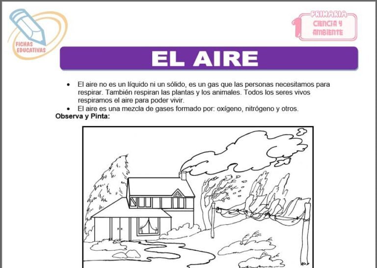 El aire para Primero de Primaria - Fichas Educativas