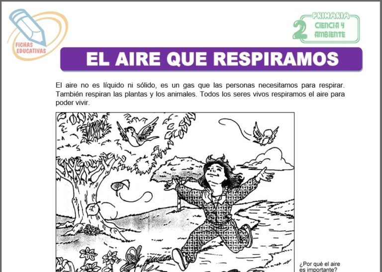Ciencia y Ambiente para Segundo de Primaria - Fichas Educativas