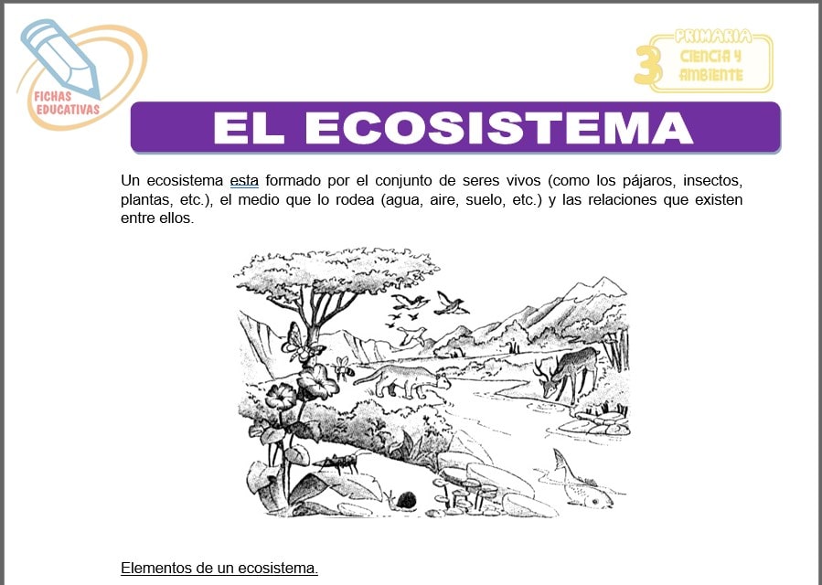 El ecosistema para tercero de primaria