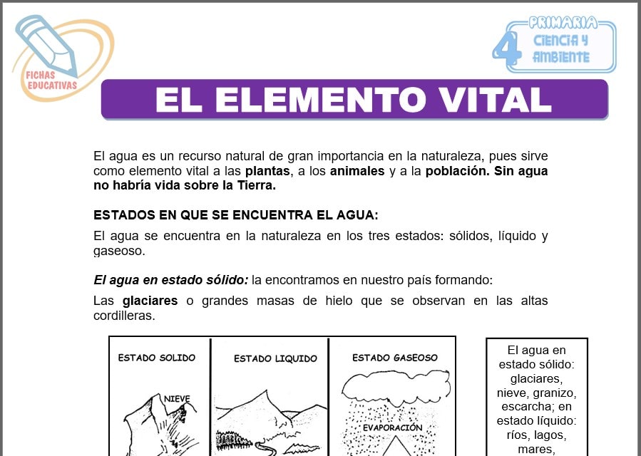 El elemento vital para cuarto de primaria