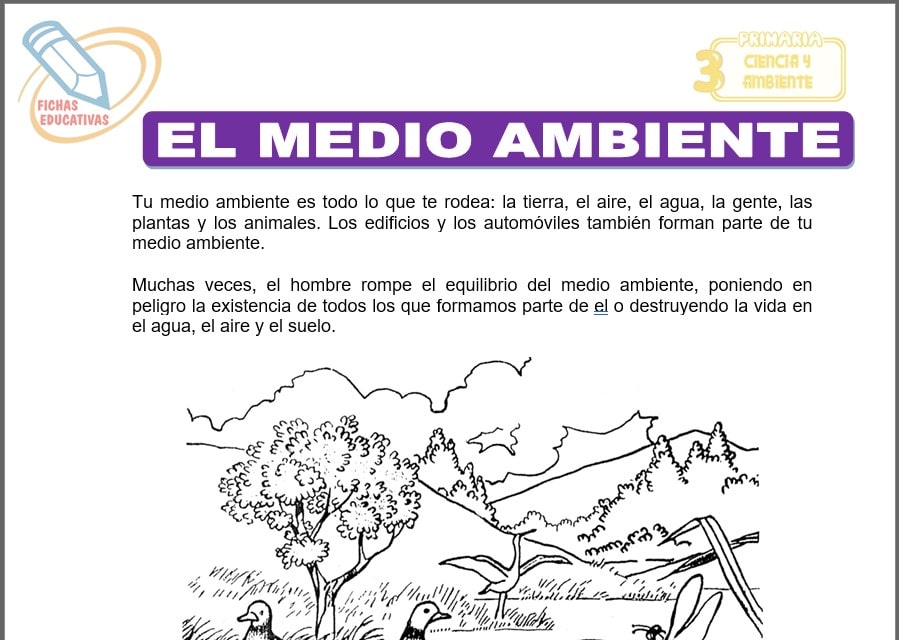 El medio ambiente para tercero de primaria
