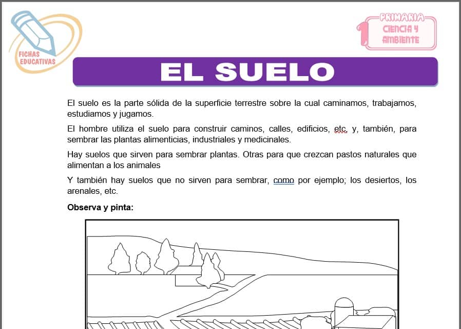 El suelo para primero de primaria