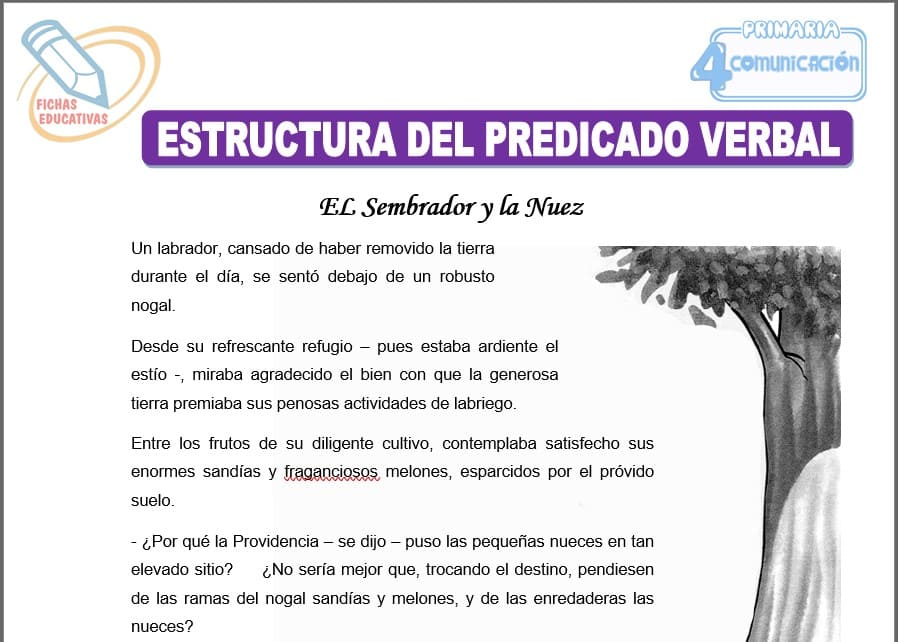 Estructura del predicado verbal para cuarto de primaria