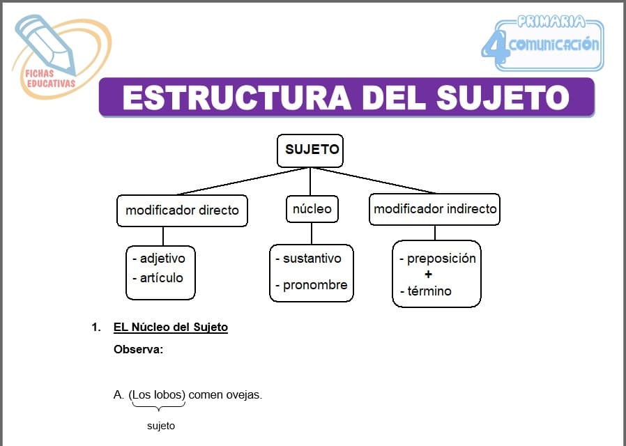 Estructura del sujeto para cuarto de primaria