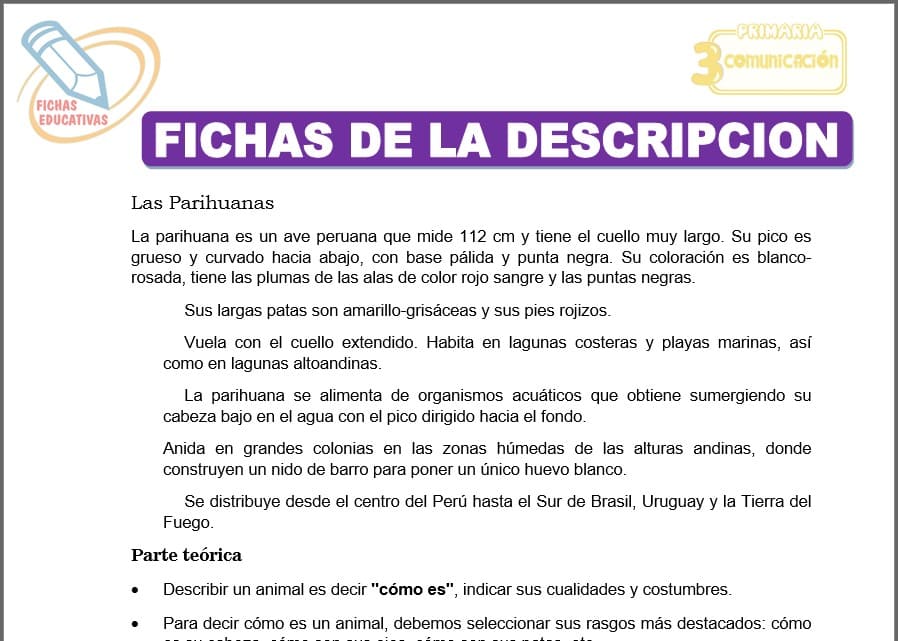Fichas de la descripción para tercero de primaria
